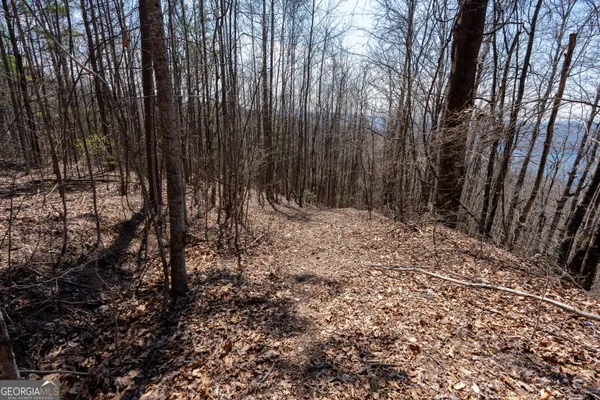 a view of outdoor space