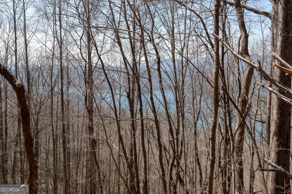 $225,000 | Lot 11 Rainwater Trail, Tiger, GA 30576