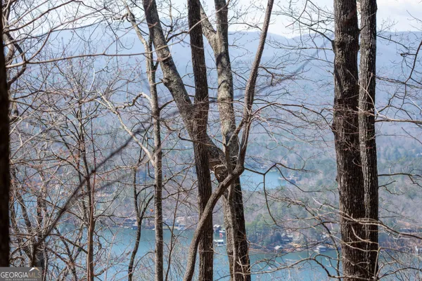 $225,000 | Lot 11 Rainwater Trail, Tiger, GA 30576