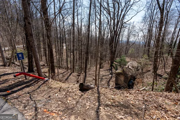 $225,000 | Lot 11 Rainwater Trail, Tiger, GA 30576