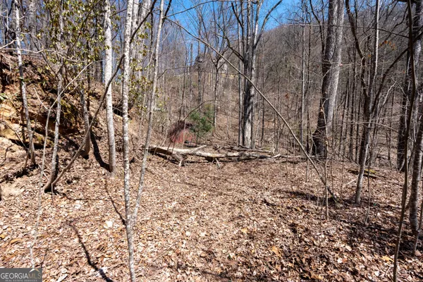 $225,000 | Lot 11 Rainwater Trail, Tiger, GA 30576