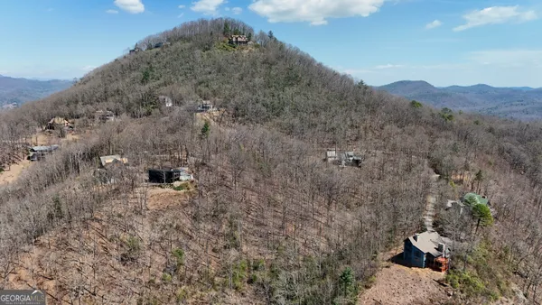 a view of a dry yard