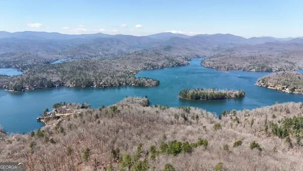 a view of a dry yard with trees