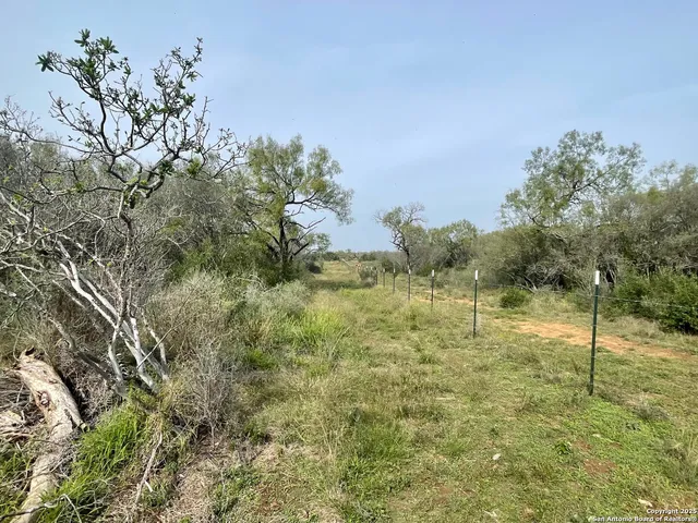$30,000 | 169 County Road 1670, Moore, TX 78057