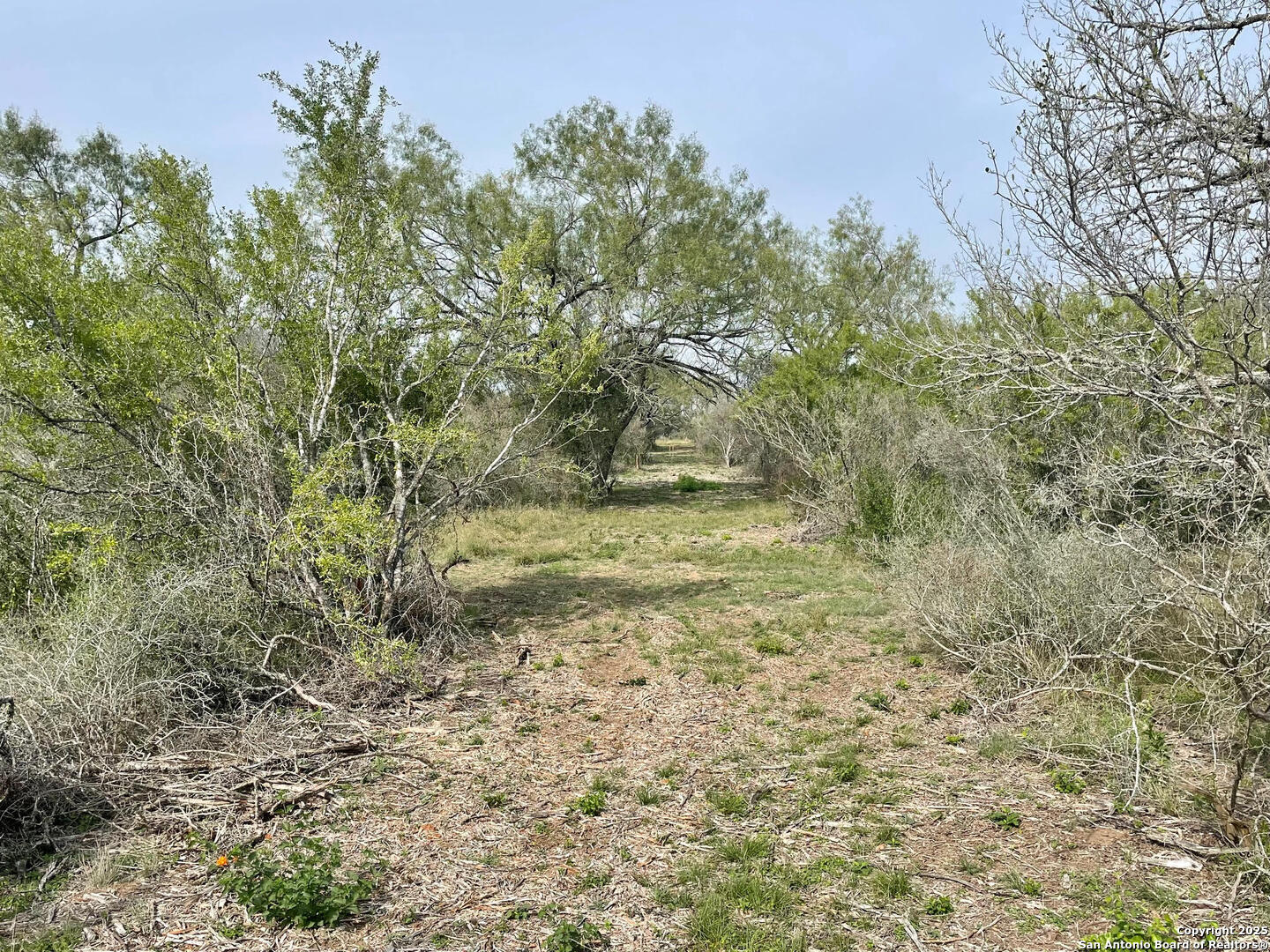 169 County Road 1670 Moore, TX 78057 - Photo 4 of 4