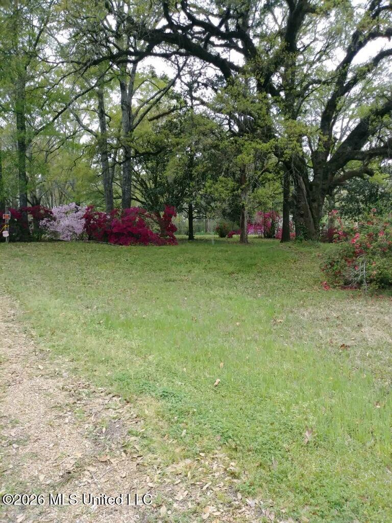 2010 Jackson Louisiana Road Woodville, MS 39669 - Photo 4 of 5 IMG_1353