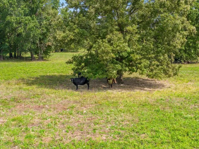 a view of yard with green space