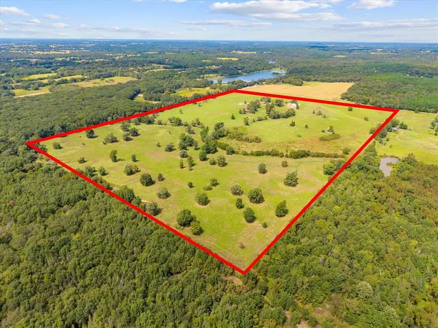 a view of an outdoor space