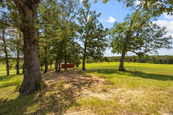 a bathroom with a sink yard and wooden fence