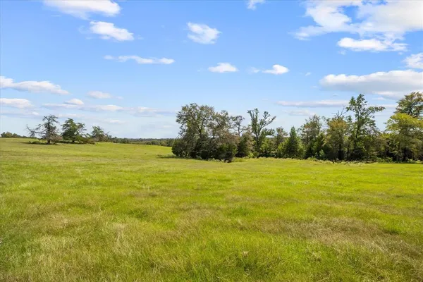 a view of an ocean and a yard