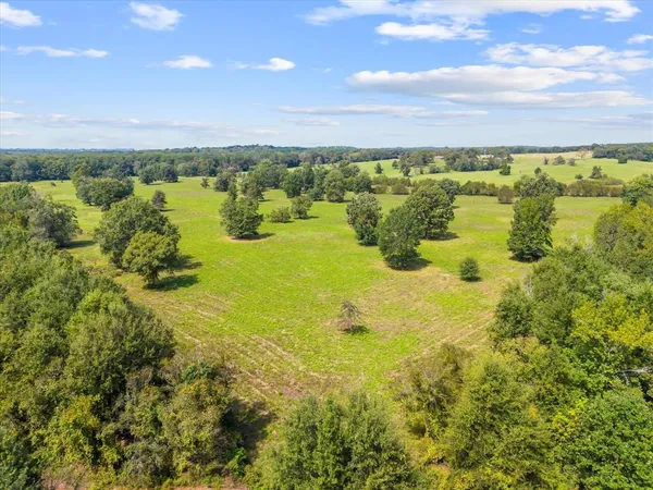 a view of an ocean from a yard