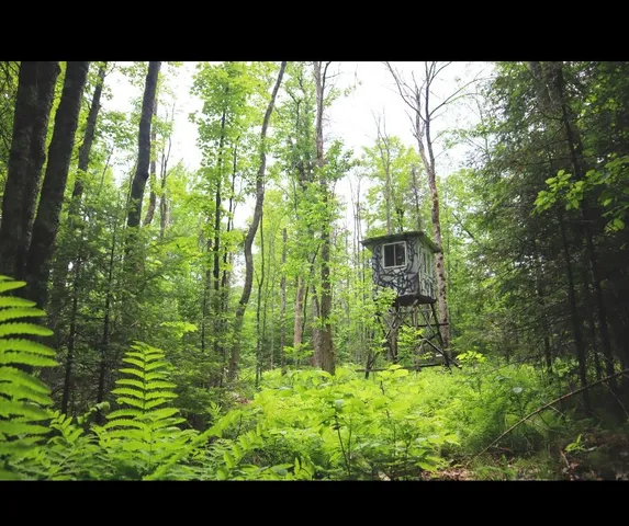 $85,000 | Westberg Road, Amberg, WI 54102