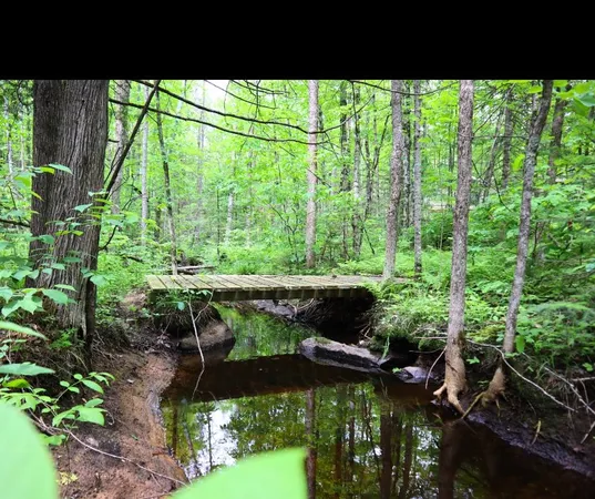 $79,900 | Westberg Road, Amberg, WI 54102