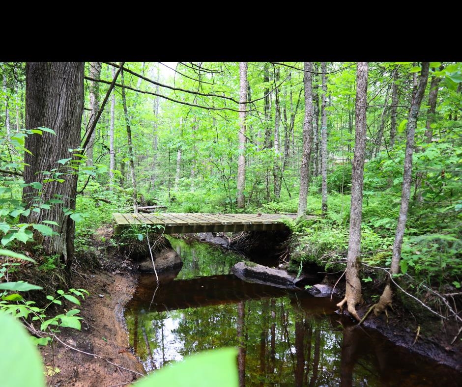 Westberg Road Amberg, WI 54102 - Photo 2 of 7