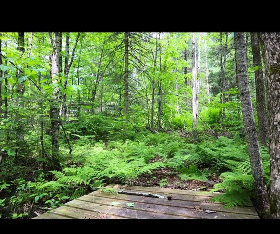 $85,000 | Westberg Road, Amberg, WI 54102