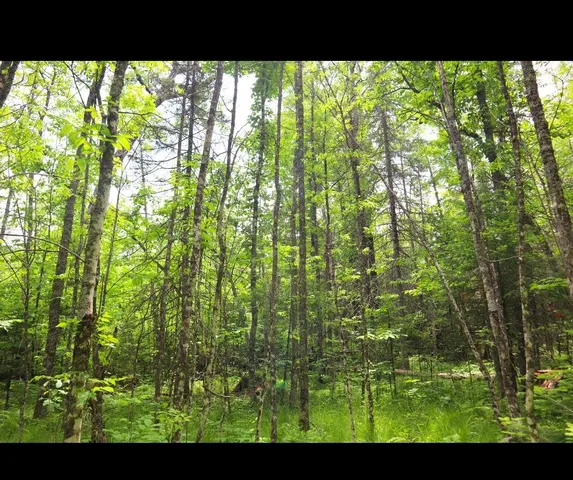 $85,000 | Westberg Road, Amberg, WI 54102