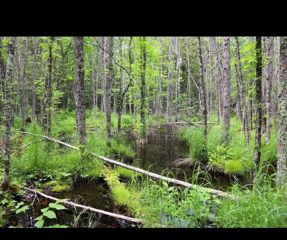 $85,000 | Westberg Road, Amberg, WI 54102