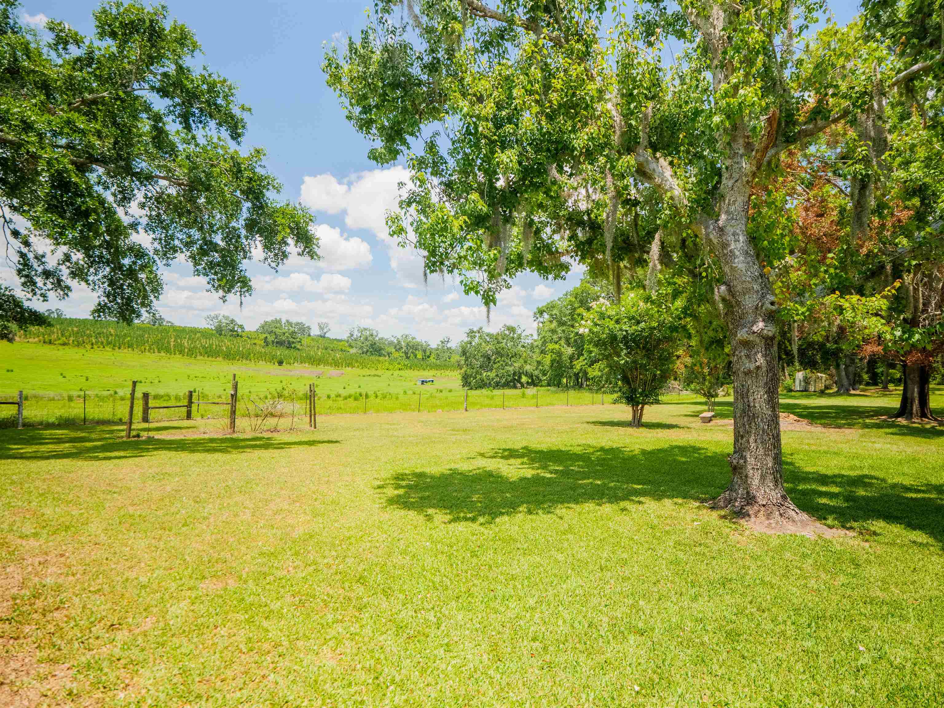 181 Northeast Biltmore Road Madison, FL 32340 - Photo 15 of 41 Gallery Image 15