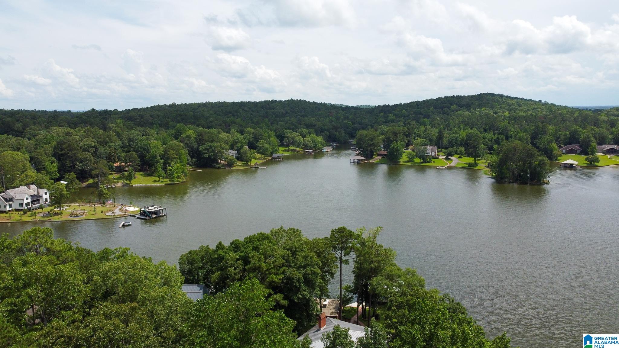 442 Lakeview Circle Alpine, AL 35014 - Photo 28 of 57
