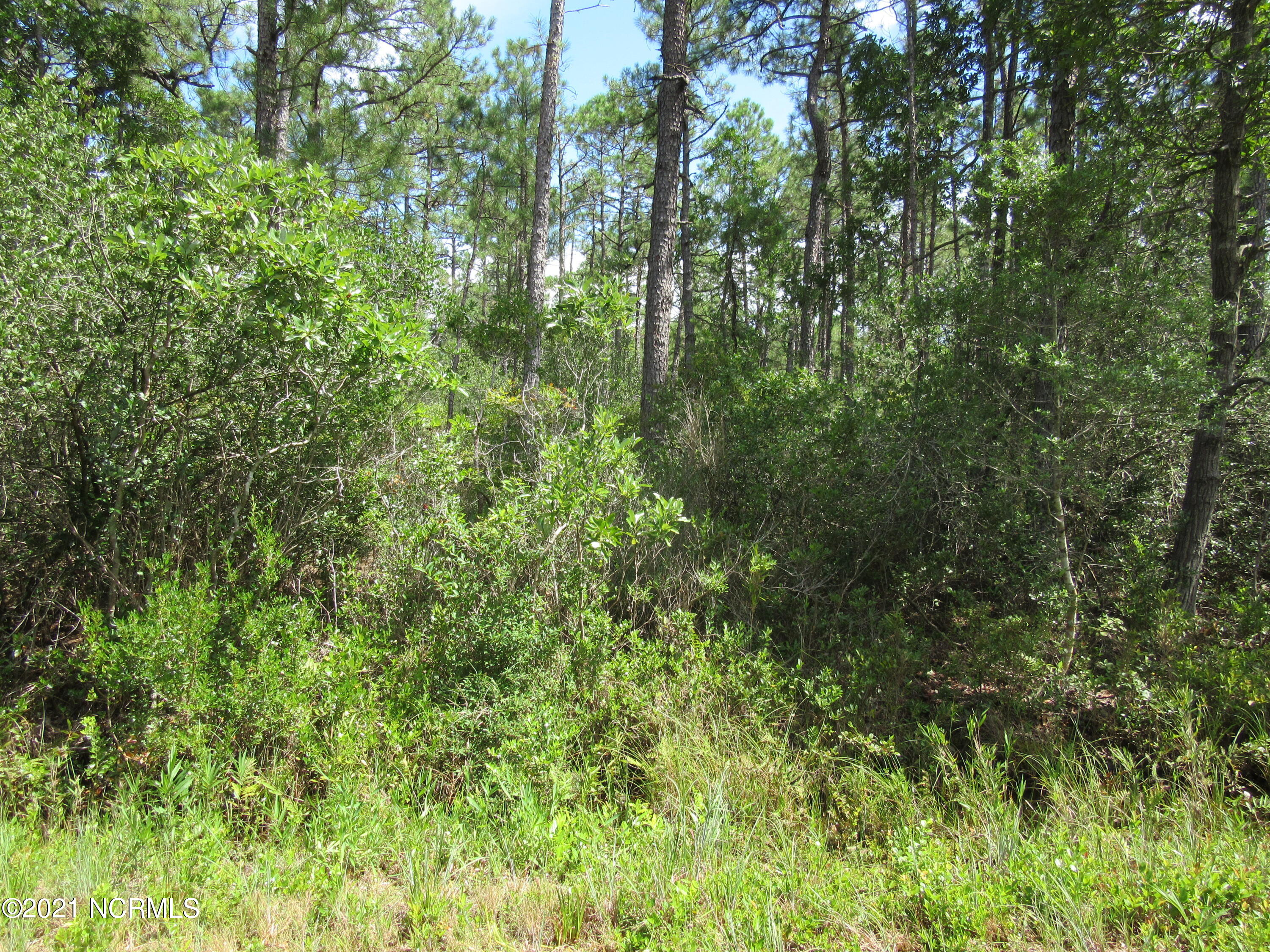 0 Partridge Road Southport, NC 28461 - Photo 1 of 4 Parcel 14100041