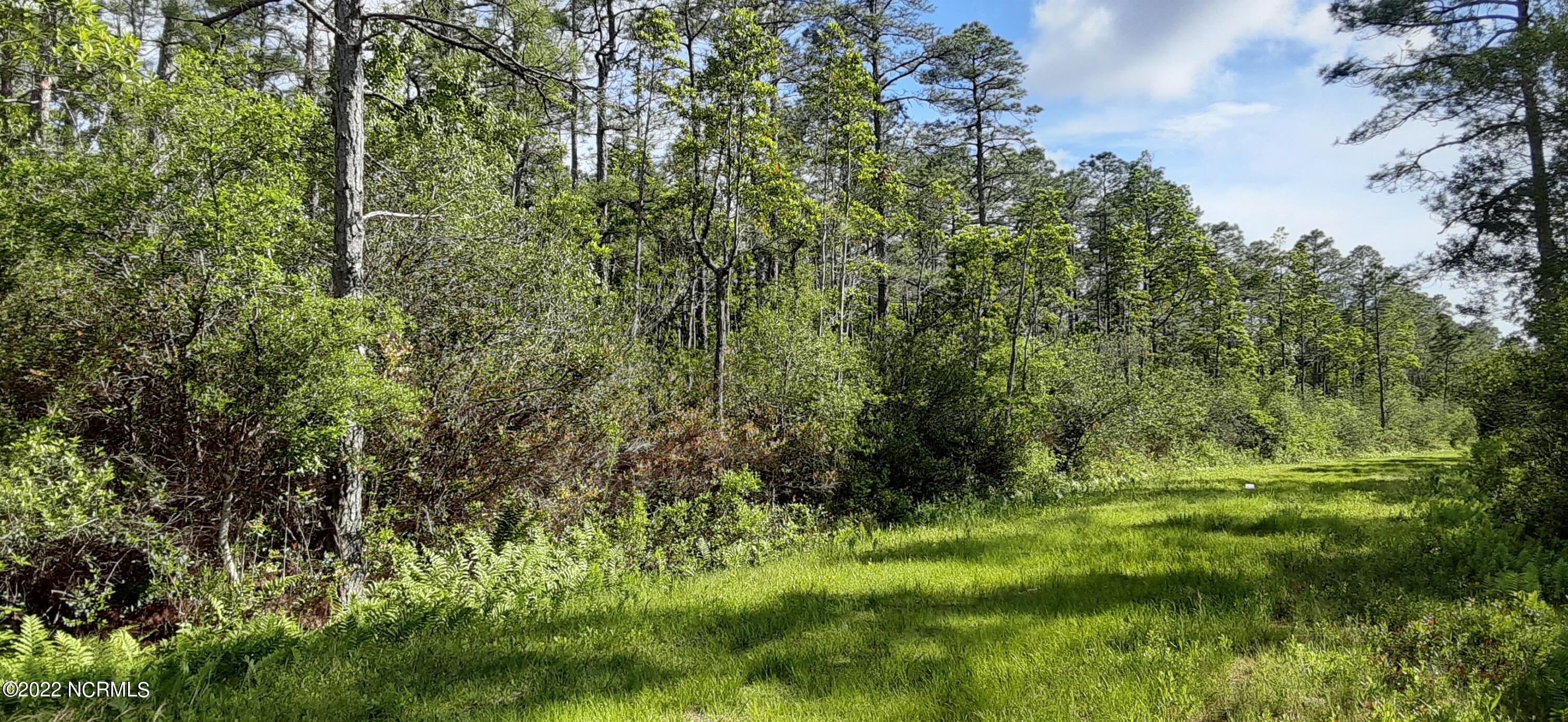 0 Partridge Road Southport, NC 28461 - Photo 2 of 4 Property from road..