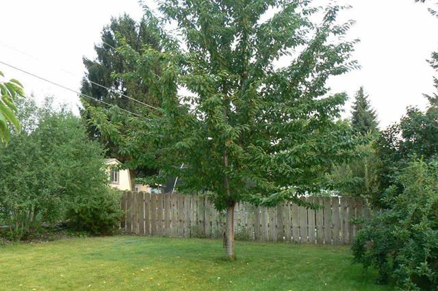 3510 North Ely Road Spokane, WA 99212 - Photo 18 of 20