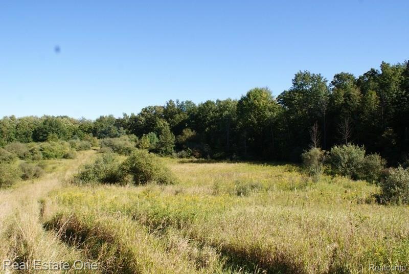 861 Lake Nepessing Road Lapeer, MI 48446 - Photo 1 of 17