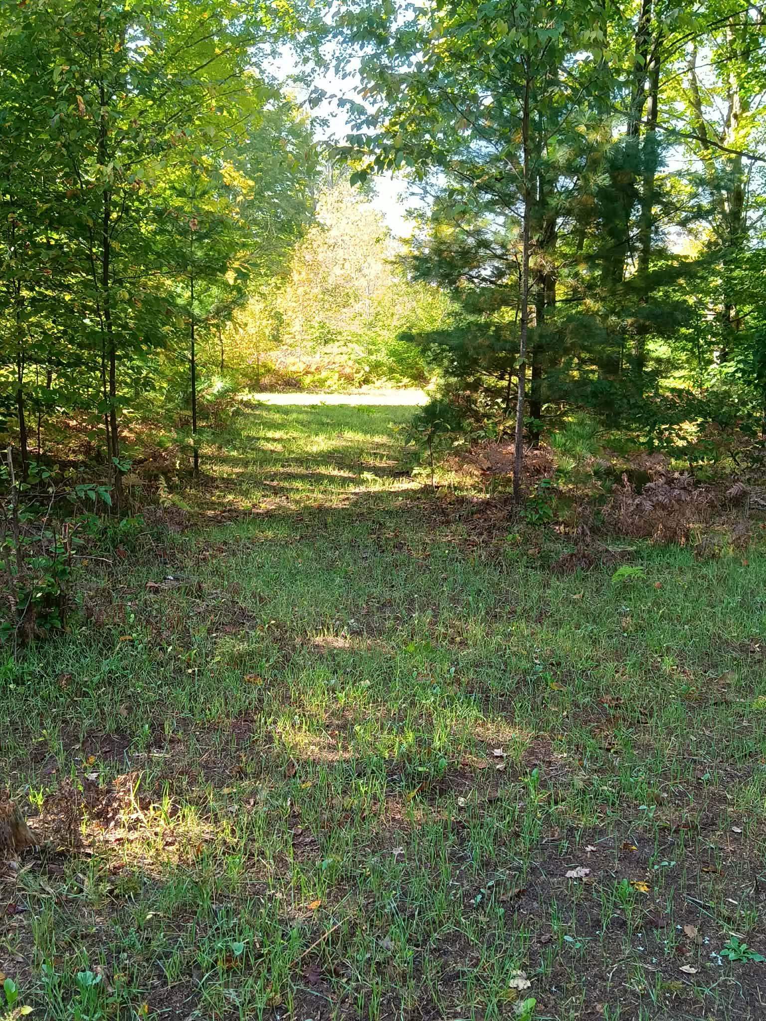 13544 Aylsworth Road Beulah, MI 49617 - Photo 4 of 29