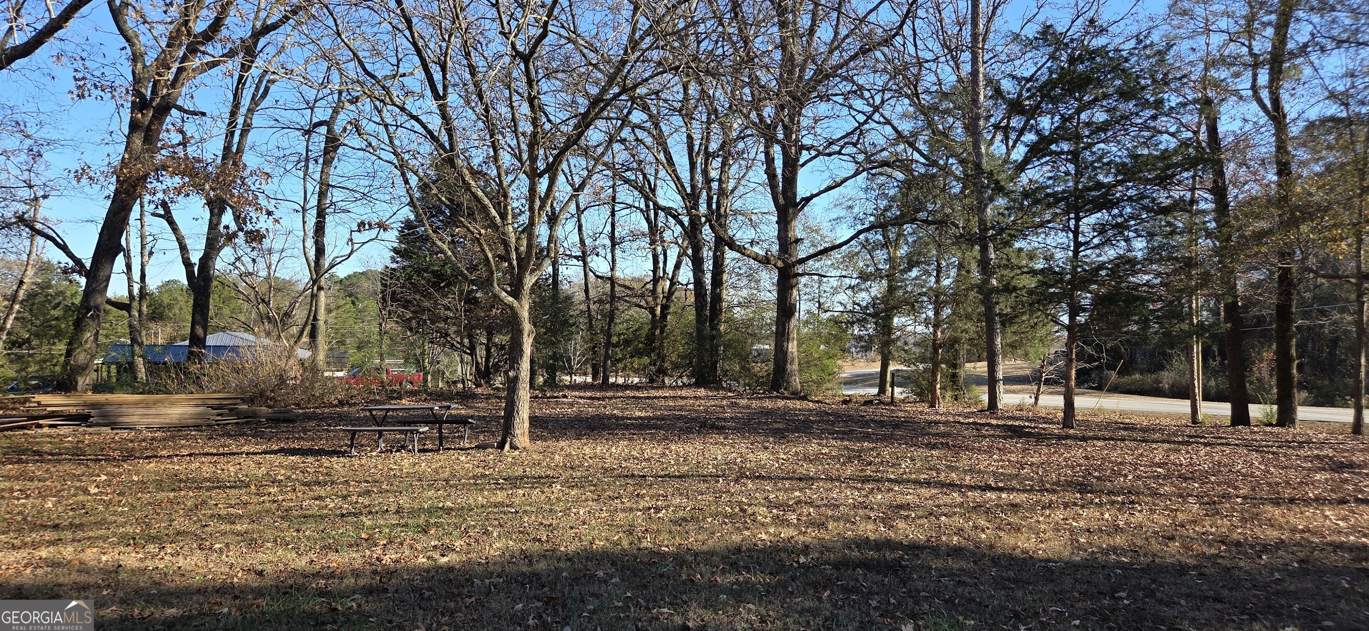 1024 Mt Olivet Road Hartwell, GA 30643 - Photo 21 of 54 Front side yard