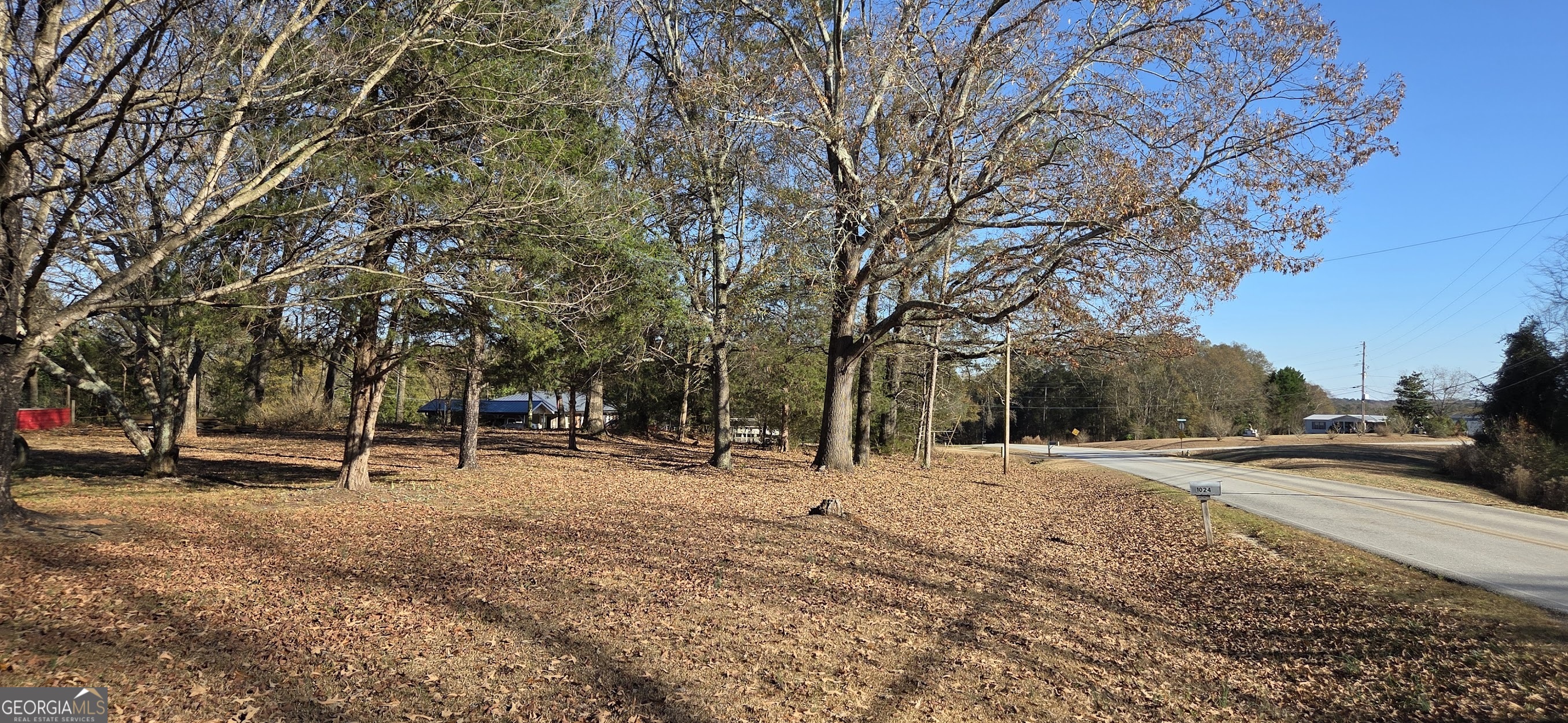 1024 Mt Olivet Road Hartwell, GA 30643 - Photo 46 of 54 View of street