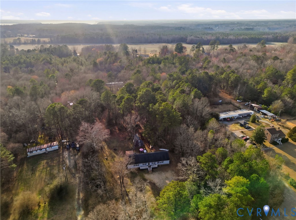 11621 Mapsico Road Charles City, VA 23030 - Photo 35 of 36 a view of a lake in middle of forest