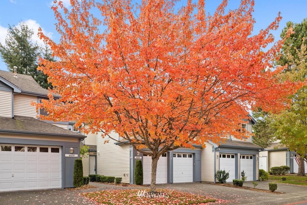 4605 Northeast 6th Court Renton, WA 98059 - Photo 25 of 25 Gallery Image 25