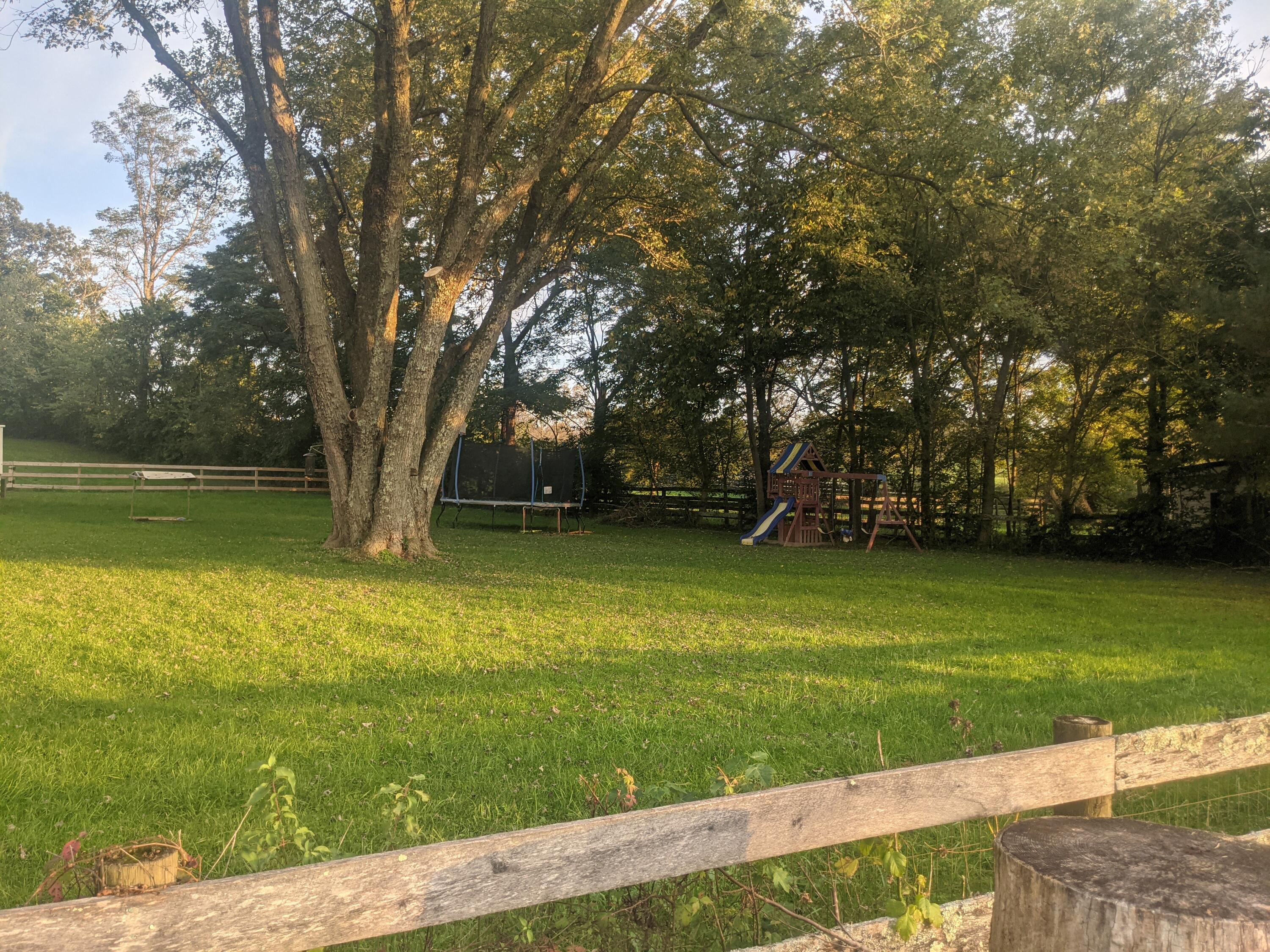 651 Locust Fork Road Stamping Ground, KY 40379 - Photo 39 of 41 PXL_20211014_223031013