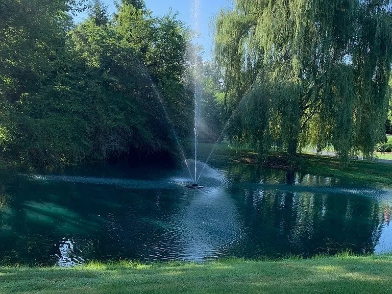 7940 Wolf Road Burr Ridge, IL 60527 - Photo 36 of 46