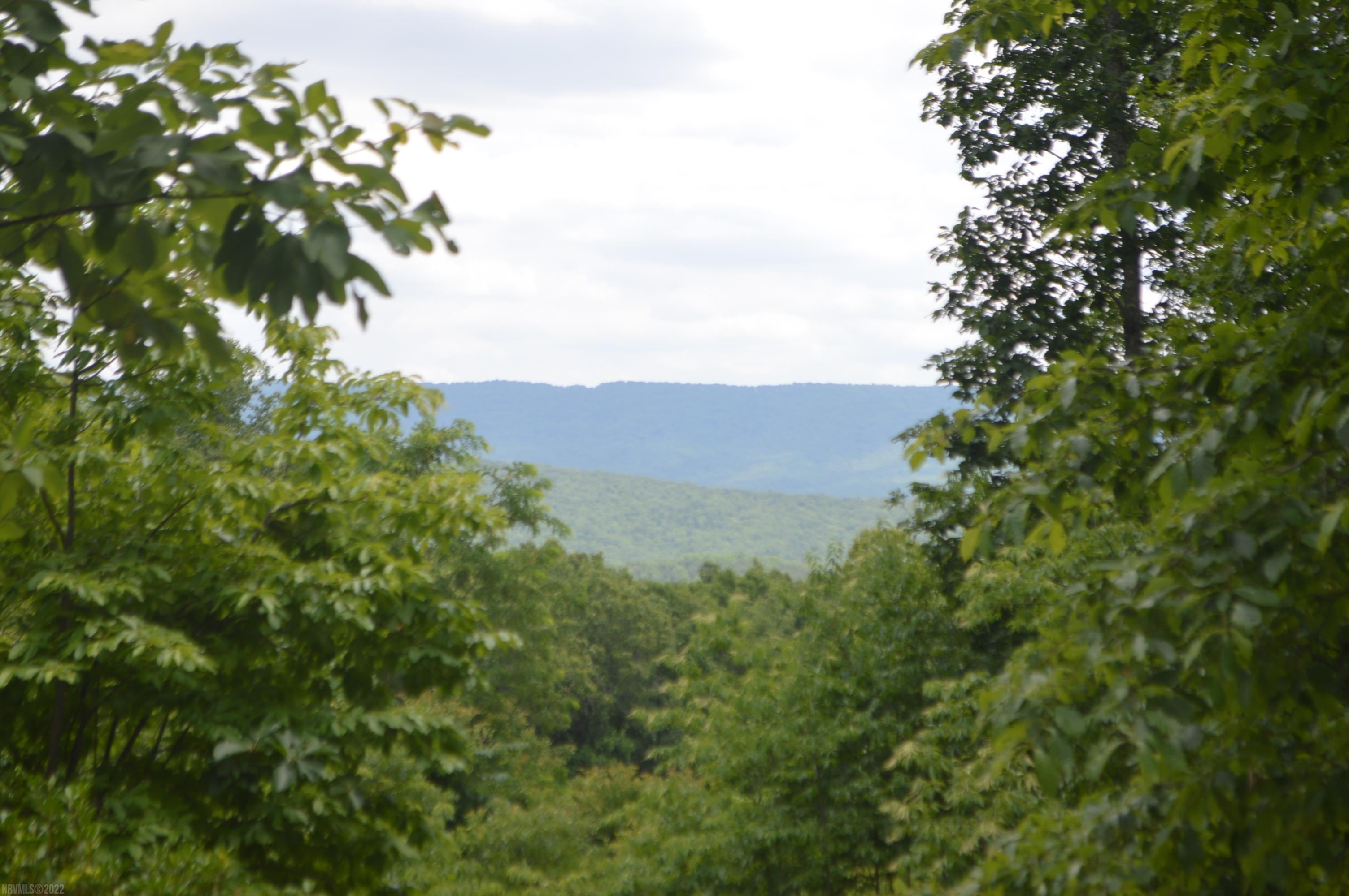 837 Little Mountain Road New Castle, VA 24127 - Photo 9 of 10 Gallery Image 9