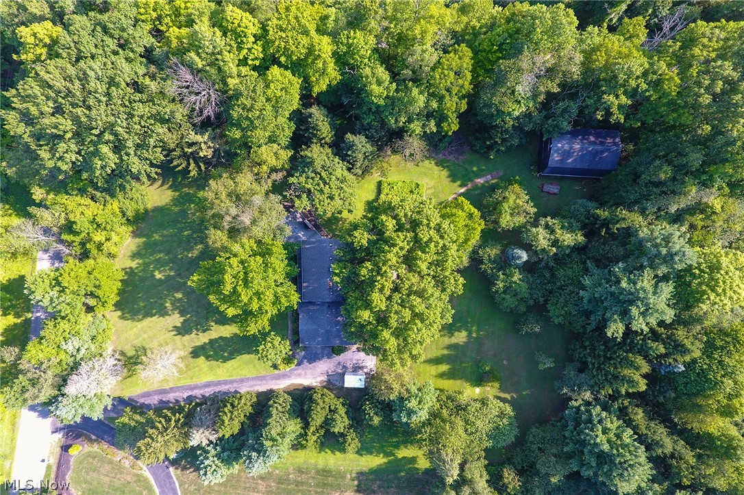 968 Rolling Meadows Road Akron, OH 44333 - Photo 35 of 35 Privacy from all sides -