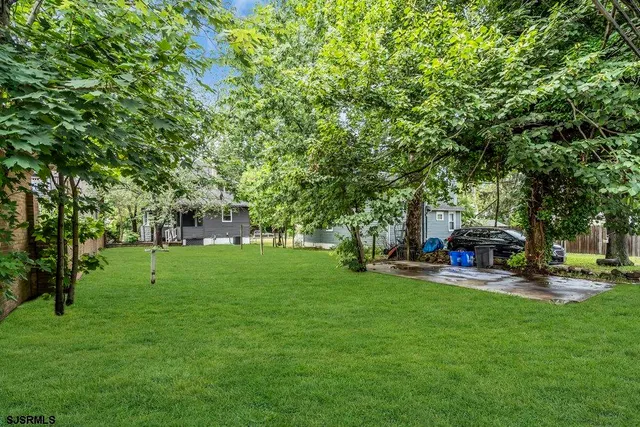 a view of a park with large trees