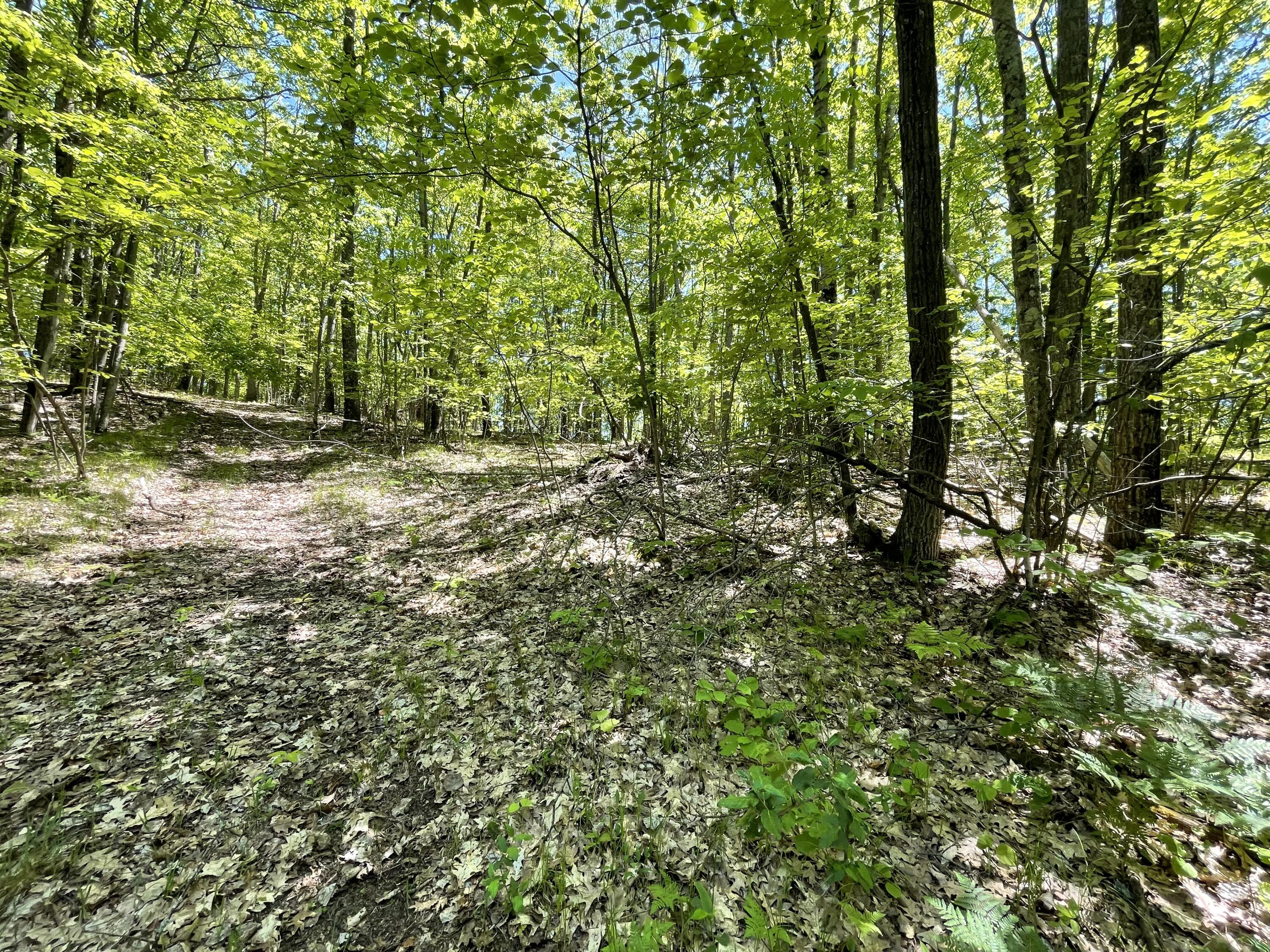 10 East Mile Road Luther, MI 49656 - Photo 17 of 40 IMG_0772