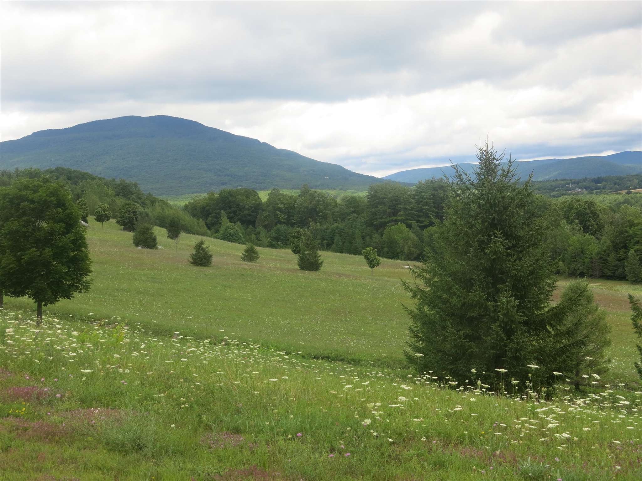 9-10 Partridge Hill Manchester Center, VT 05255 - Photo 1 of 4 Gallery Image 1