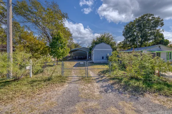 a view of a yard with plants and a bench