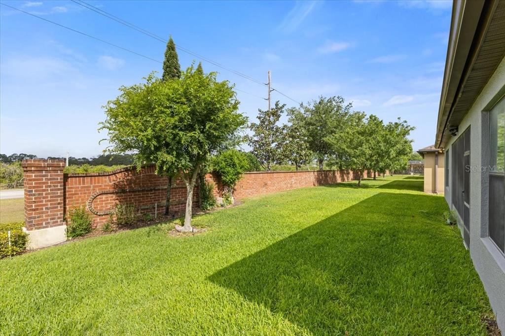 7180 Beek Street Windermere, FL 34786 - Photo 27 of 33 a garden with trees in front of it