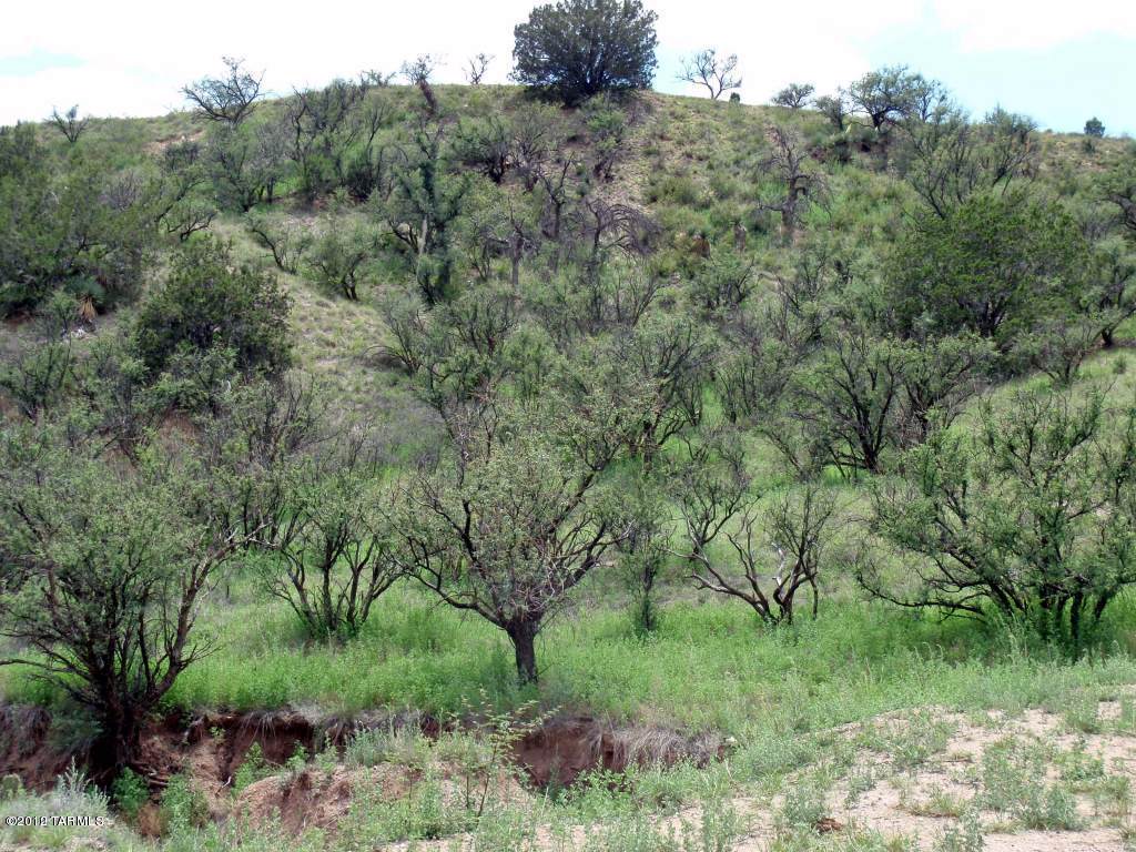 Tbd Wood Canyon Road, Unit 7 Patagonia, AZ 85624 - Photo 4 of 9