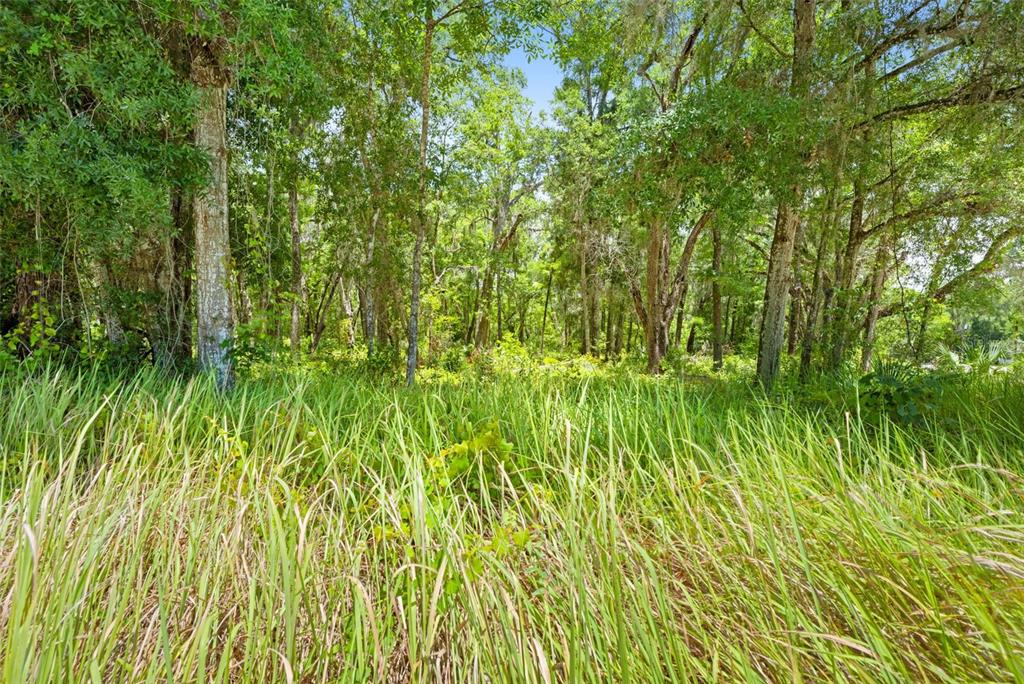 0 Ricebird Avenue, Unit LOT 89 Weeki Wachee, FL 34614 - Photo 27 of 27