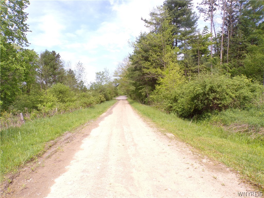 Farnsworth Road Cuba, NY 14727 - Photo 14 of 15
