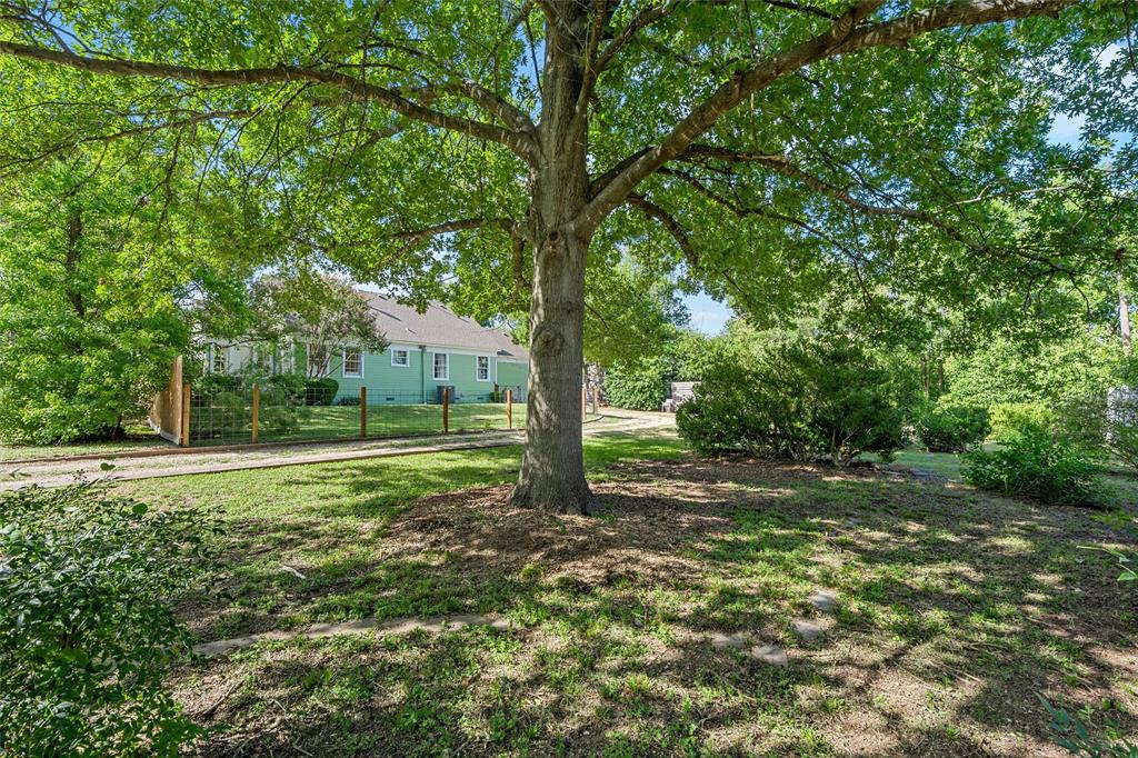 2730 Live Oak Avenue Waco, TX 76708 - Photo 23 of 26 a view of a tree in the middle of a yard