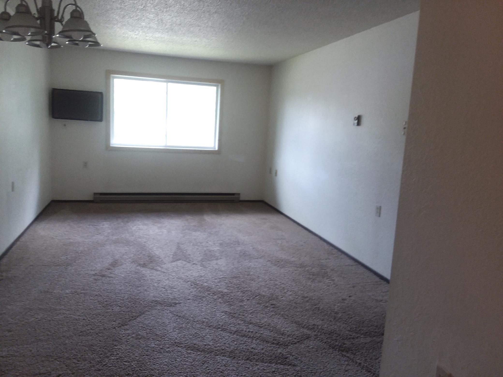 207 Cedar Street Northeast Remer, MN 56672 - Photo 3 of 9