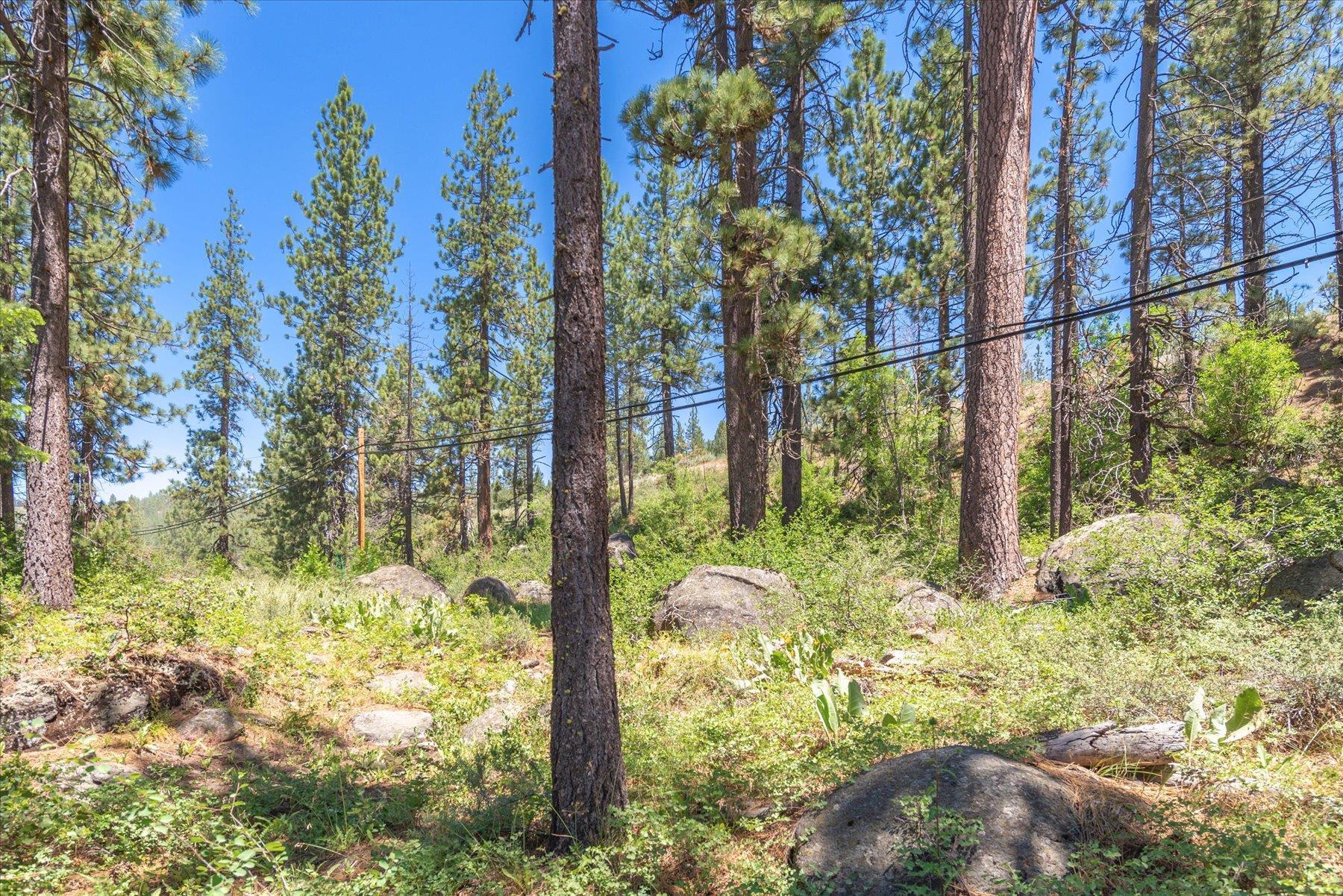 13020 Donner Pass Road Truckee, CA 96161 - Photo 11 of 18