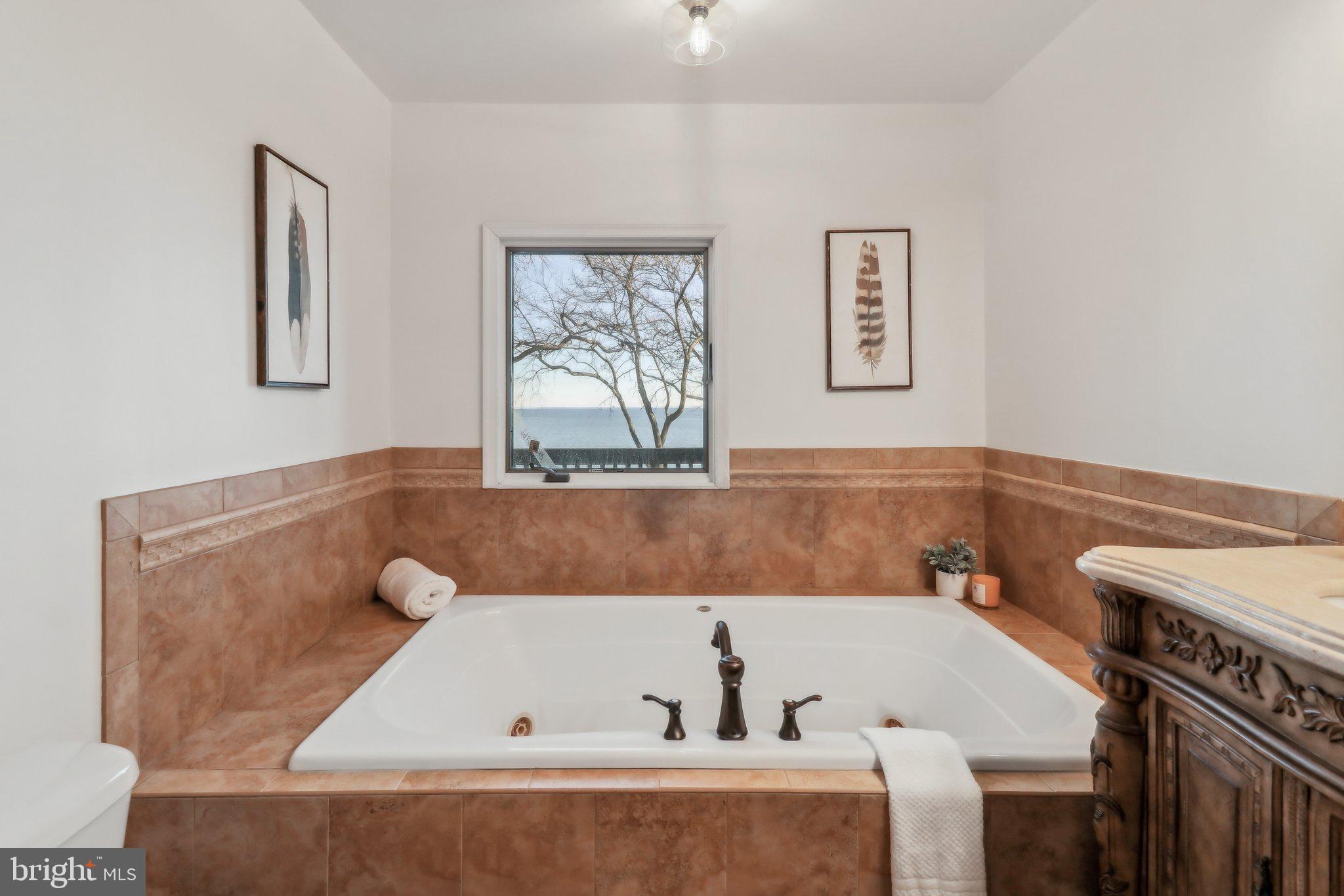 168 Windcliff Road Prince Frederick, MD 20678 - Photo 31 of 81 Master tub with water views