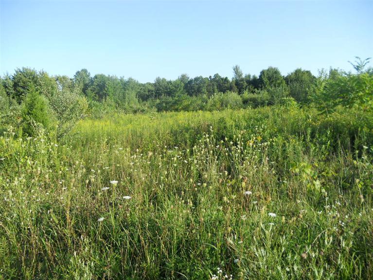 Schmuhl Road Benton Harbor, MI 49022 - Photo 1 of 3 Primary Photo