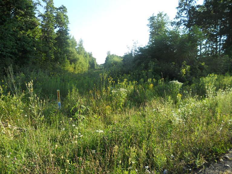 Schmuhl Road Benton Harbor, MI 49022 - Photo 2 of 3 Additional Photo